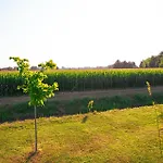 Borgo Tarapino Campagna Πανσιόν Φεράρα