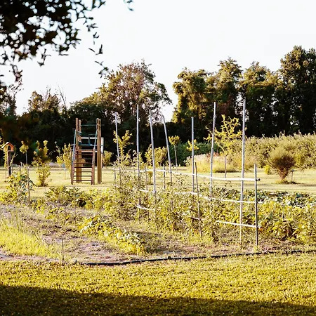 Gæstehus Borgo Tarapino Campagna