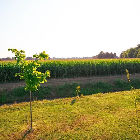 Borgo Tarapino Campagna Gasthof Ferrara