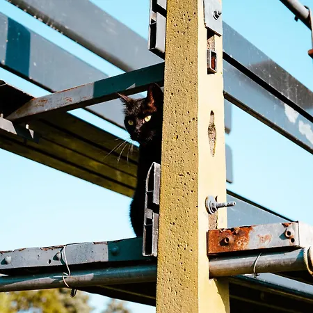 Gasthof Borgo Tarapino Campagna 3*