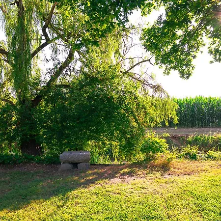 Borgo Tarapino Campagna Gasthof