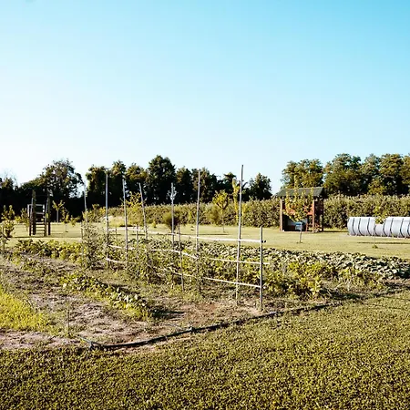게스트하우스 Borgo Tarapino Campagna 페라라