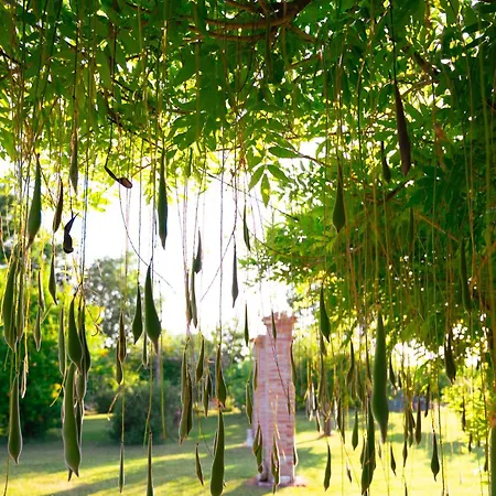 Borgo Tarapino Campagna