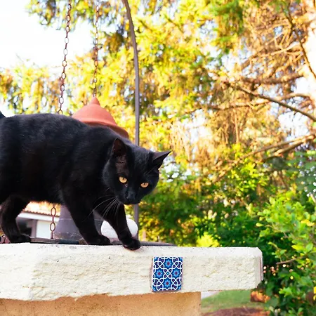Vendégház Borgo Tarapino Campagna