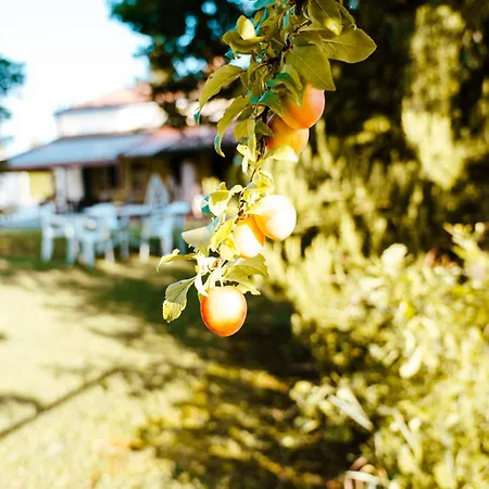 Borgo Tarapino Campagna 게스트하우스 3*