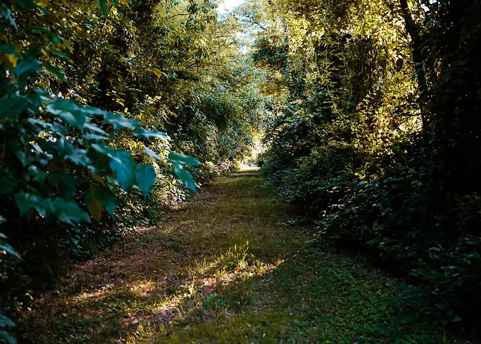 Borgo Tarapino Campagna 3*