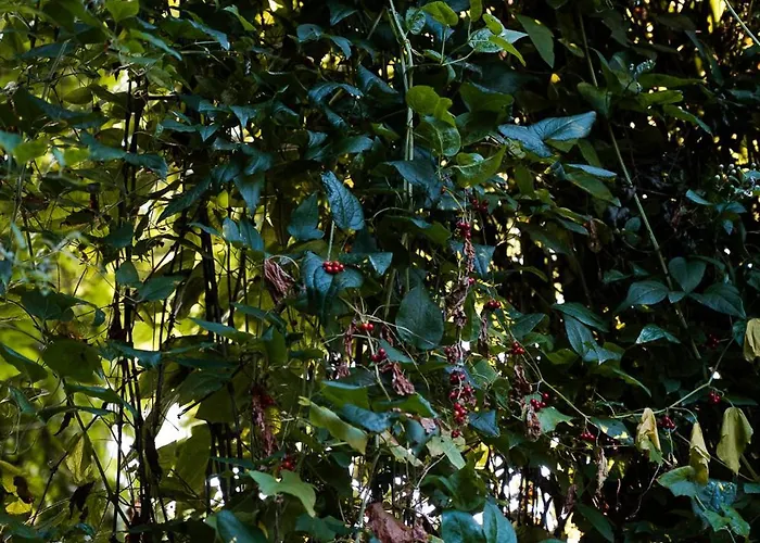 Penzion Borgo Tarapino Campagna