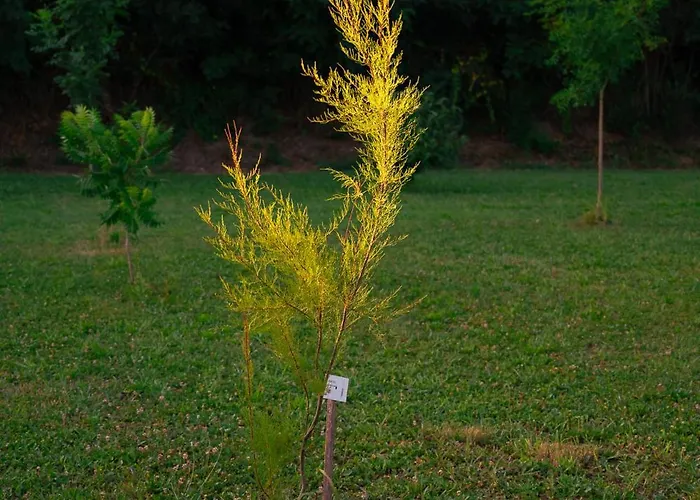 招待所 Borgo Tarapino Campagna 3*