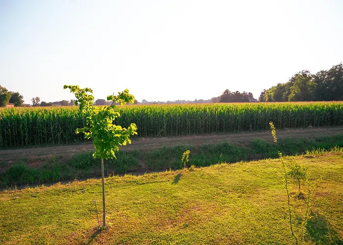 Borgo Tarapino Campagna Gæstehus Ferrara