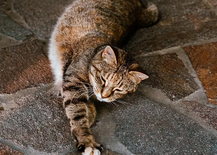 Borgo Tarapino Campagna Penzion 3*