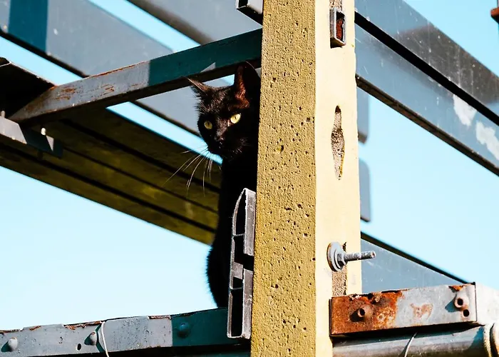 Penzion Borgo Tarapino Campagna 3*