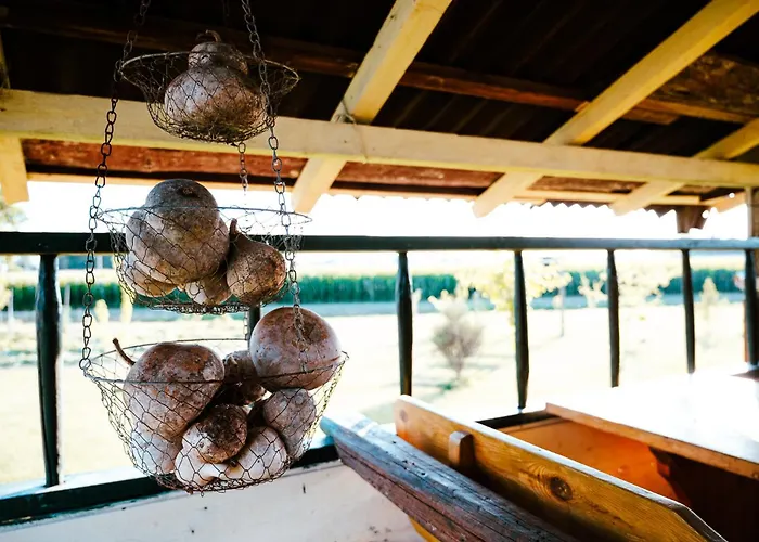 招待所 Borgo Tarapino Campagna 费拉拉