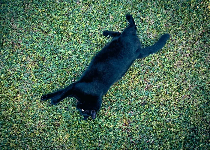 Borgo Tarapino Campagna