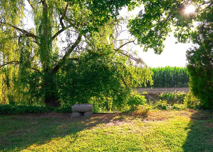 Borgo Tarapino Campagna Gæstehus