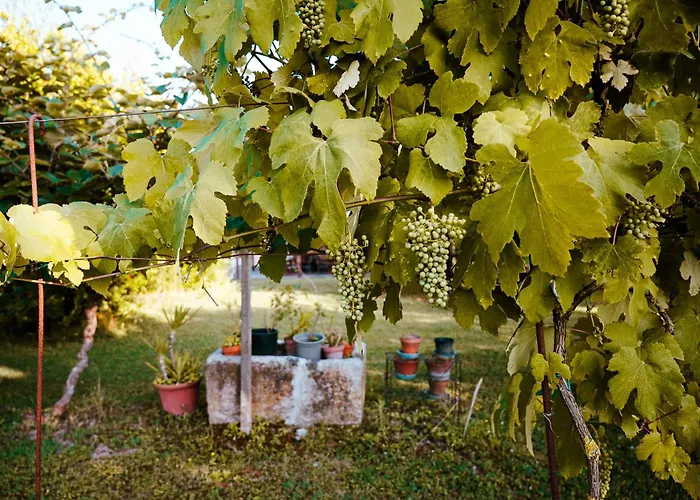 Borgo Tarapino Campagna Gæstehus