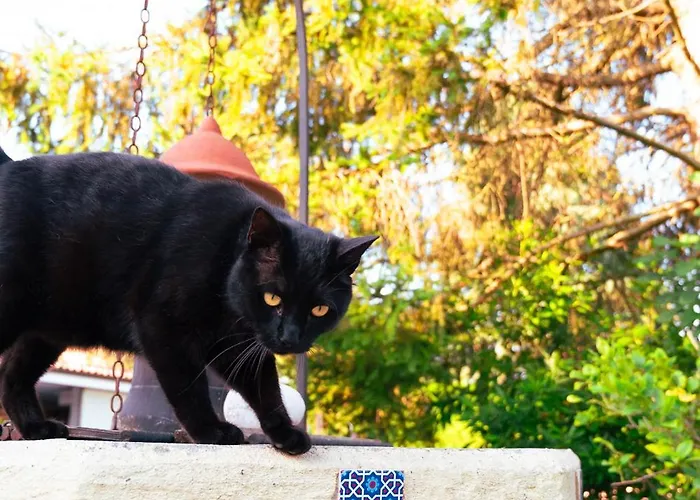 招待所 Borgo Tarapino Campagna