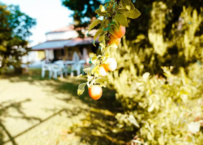Borgo Tarapino Campagna Penzion 3*